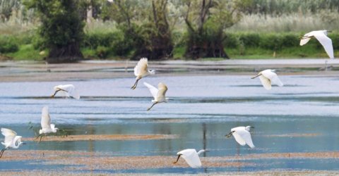 World Wetlands Day 2005 | The Convention On Wetlands, The Convention On ...