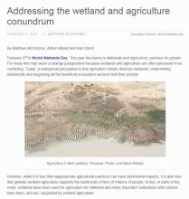 World Wetlands Day 2014 CGIAR Article