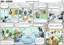 World Wetlands Day 2014 China Cartoon