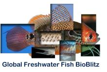 World Wetlands Day 2014 Fish BioBlitz Article