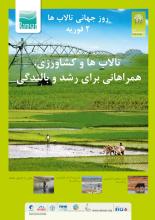 World Wetlands Day 2014 Iran Poster