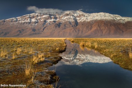 Gandoman Wetland