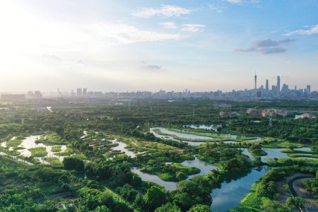 Guangdong Guangzhou Haizhu Wetlands