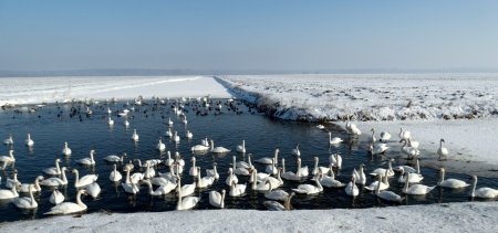 Nature Park Kopacki rit