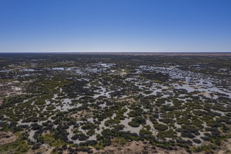 Caryapundy Swamp