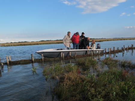 Ramsar Advisory Mission to Venice and its Lagoon, 2015