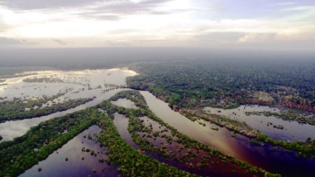 Rio Negro