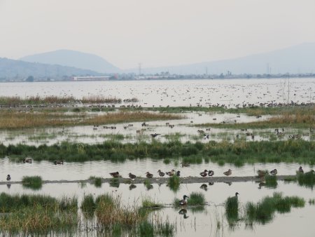 Lago de Texcoco