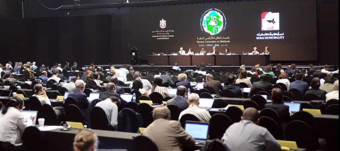 The Conference Of The Contracting Parties | The Convention On Wetlands ...