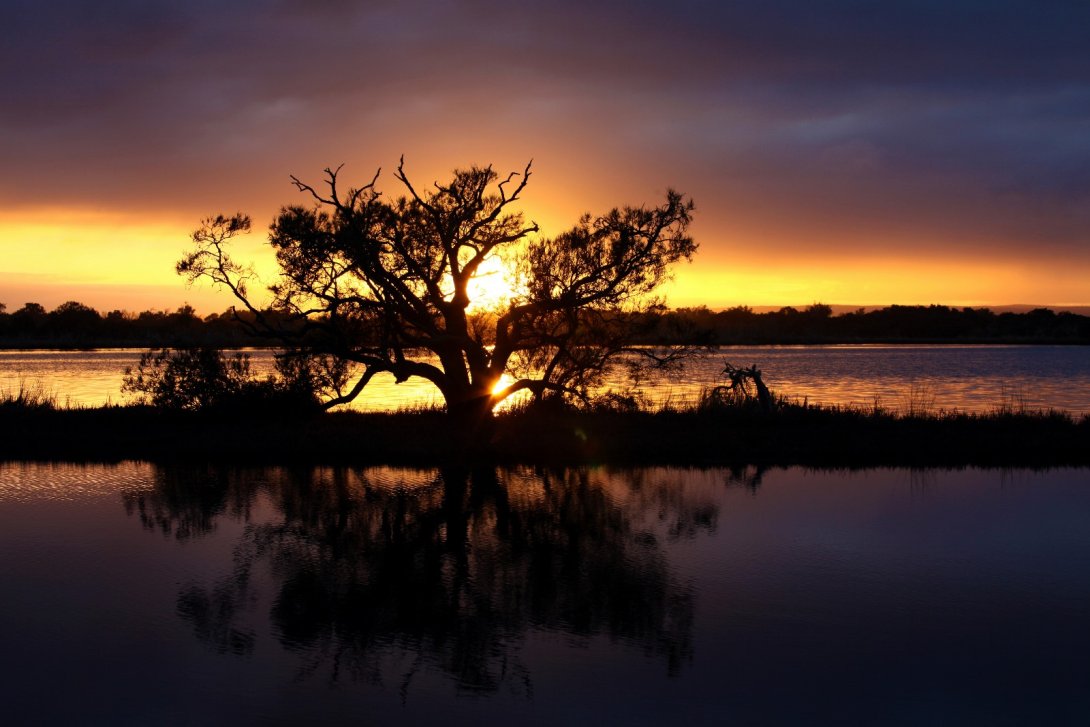 The Strategic Plan | The Convention on Wetlands, The Convention on Wetlands