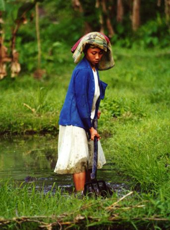 women's wetland